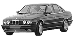 BMW E34 P1917 Fault Code